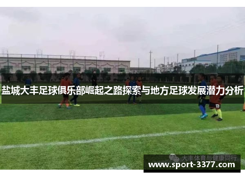 盐城大丰足球俱乐部崛起之路探索与地方足球发展潜力分析