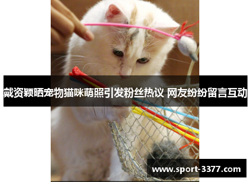 戴资颖晒宠物猫咪萌照引发粉丝热议 网友纷纷留言互动