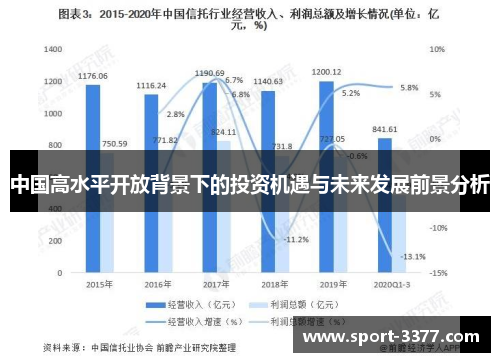 中国高水平开放背景下的投资机遇与未来发展前景分析