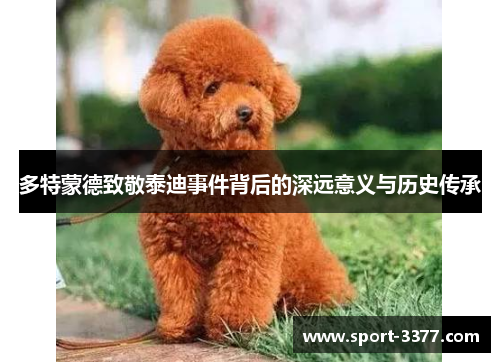 多特蒙德致敬泰迪事件背后的深远意义与历史传承